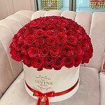 Caja Grand 100 Rosas Redonda Completa