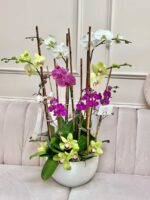 Orquídeas Mixtas en Florero - Image 2