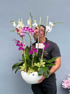 Mixed Orchids in Vase - Image 3