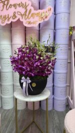 Orquídeas Frescas de Primavera - Image 4