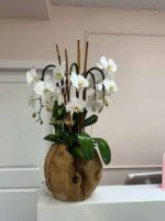 Orquídeas Swan en Florero de Madera Mediano - Image 3