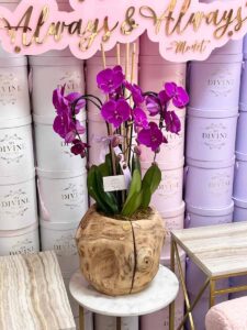 Swan Orchids in Medium Wooden Vase - Image 2