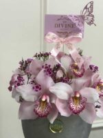 Amor de Cymbidium - Image 2