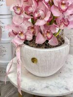 Dicha de Orquídea Cymbidium - Image 2