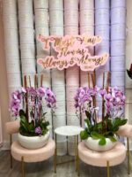 Orquídeas Karolina - Image 2