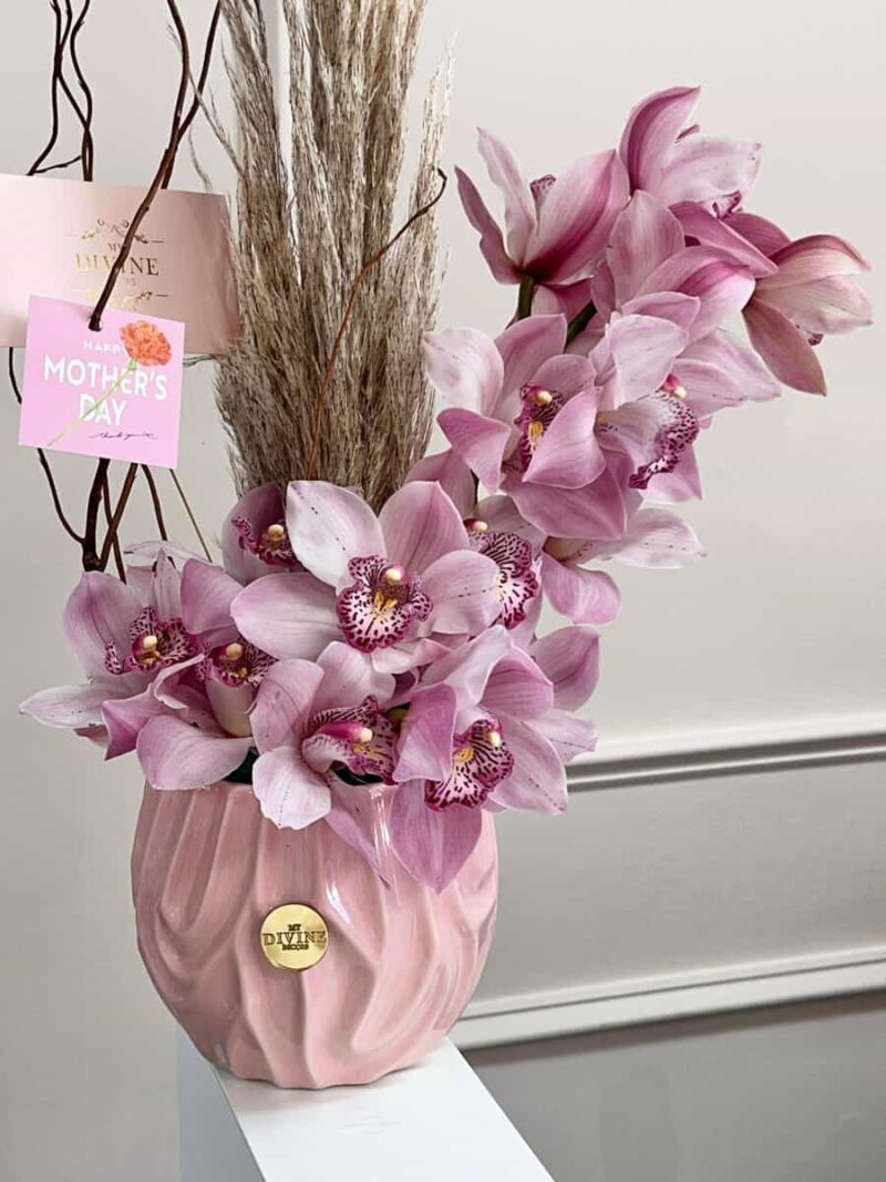 Organic Cymbidium Orchids for Mom - Image 2