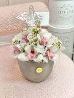 Amor de Cymbidium - Imagen 4