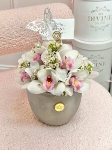 Cymbidium love - Image 4