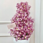 Pink cymbidium orchids arranged in a tall white vase
