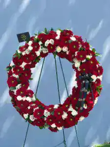 Condolences Gerbera Wreath - Image 2