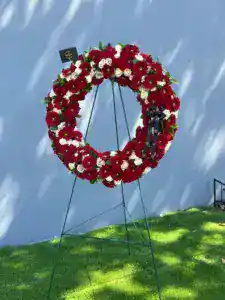 Condolences Gerbera Wreath - Image 3