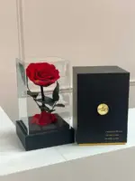 Preserved Rose Beauty & Beast Acrylic