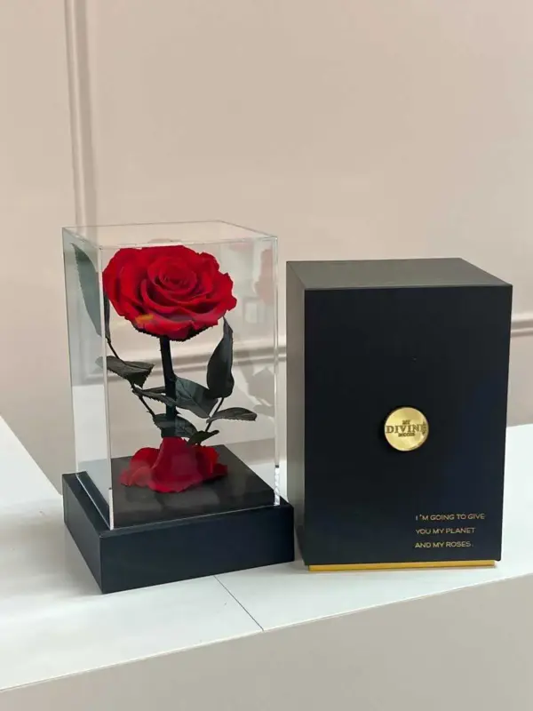 Preserved Rose Acrylic Dome