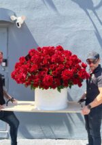 The Grand 500 Rosas - Imagen 2