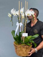 Orquídea Woodland Lujo - Image 3