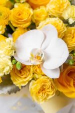 Golden Radiance Hat Box - Image 2