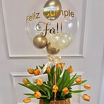 Tulip Basket Hot air Balloon