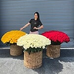 Lujo 1500 Rosas en 3 Canastas de Diseñador