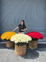 Luxury 1500 Roses in 3 Designer Baskets