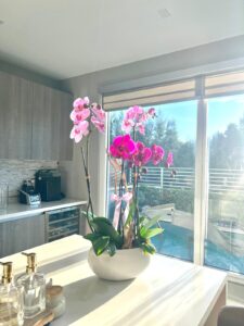 Luxury Orchid Garden - Image 2