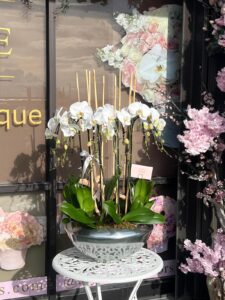 Majestic Cascade Orchids - Image 2