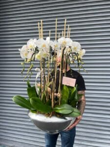 Majestic Cascade Orchids - Image 3