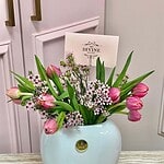 Encanto de Tulipanes Pequeños