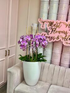 Royal orchid symphony - Image 2