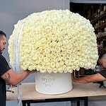 Grand 1000 Roses Signature Arrangement