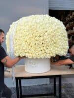 Grand 1000 Roses Signature Arrangement