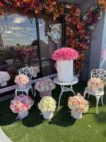 The Luxe Pastel Garden Set - Image 7