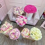 El Exclusivo Conjunto Jardín Pastel