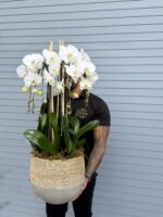 Flower arrangement by My Divine Decors, Miami florist