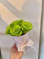 Mini Round Preserved Signature Box - Image 4