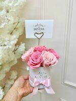 Mini Round Preserved Signature Box