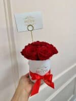 Mini Round Preserved Signature Box - Image 2