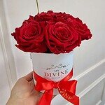 Mini Round Preserved Signature Box