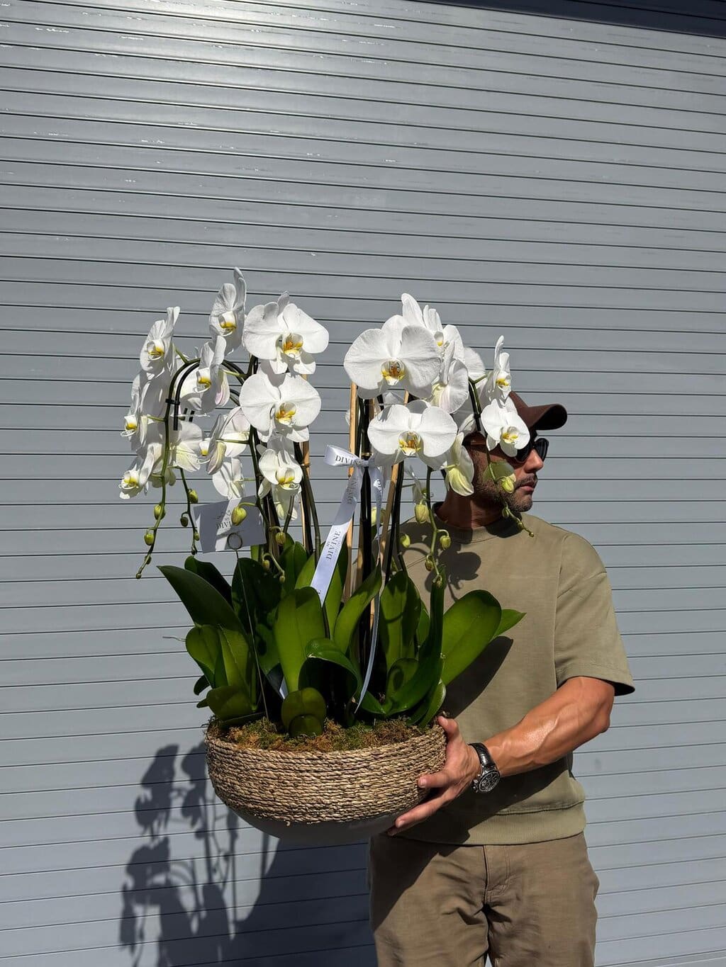 organic-orchid-planter-1 Organic orchid planter - Image 1