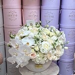 Statement Divine - Weekly Flower Subscription