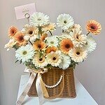 Sweet gerberas basket