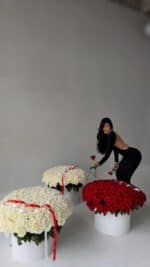 The Couture Rose Collection - Image 3