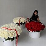 The Couture Rose Collection