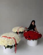 The Couture Rose Collection