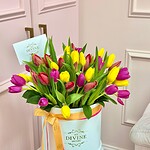 Tulips in Signature box