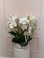 Divine Silk White Orchid Statement - Image 3