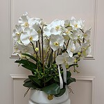 Divine Silk White Orchid Statement
