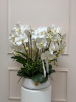 Divine Silk White Orchid Statement