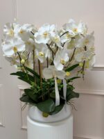 Divine Silk White Orchid Statement - Image 2