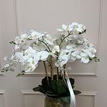 Pure Elegance Silk Orchid Garden