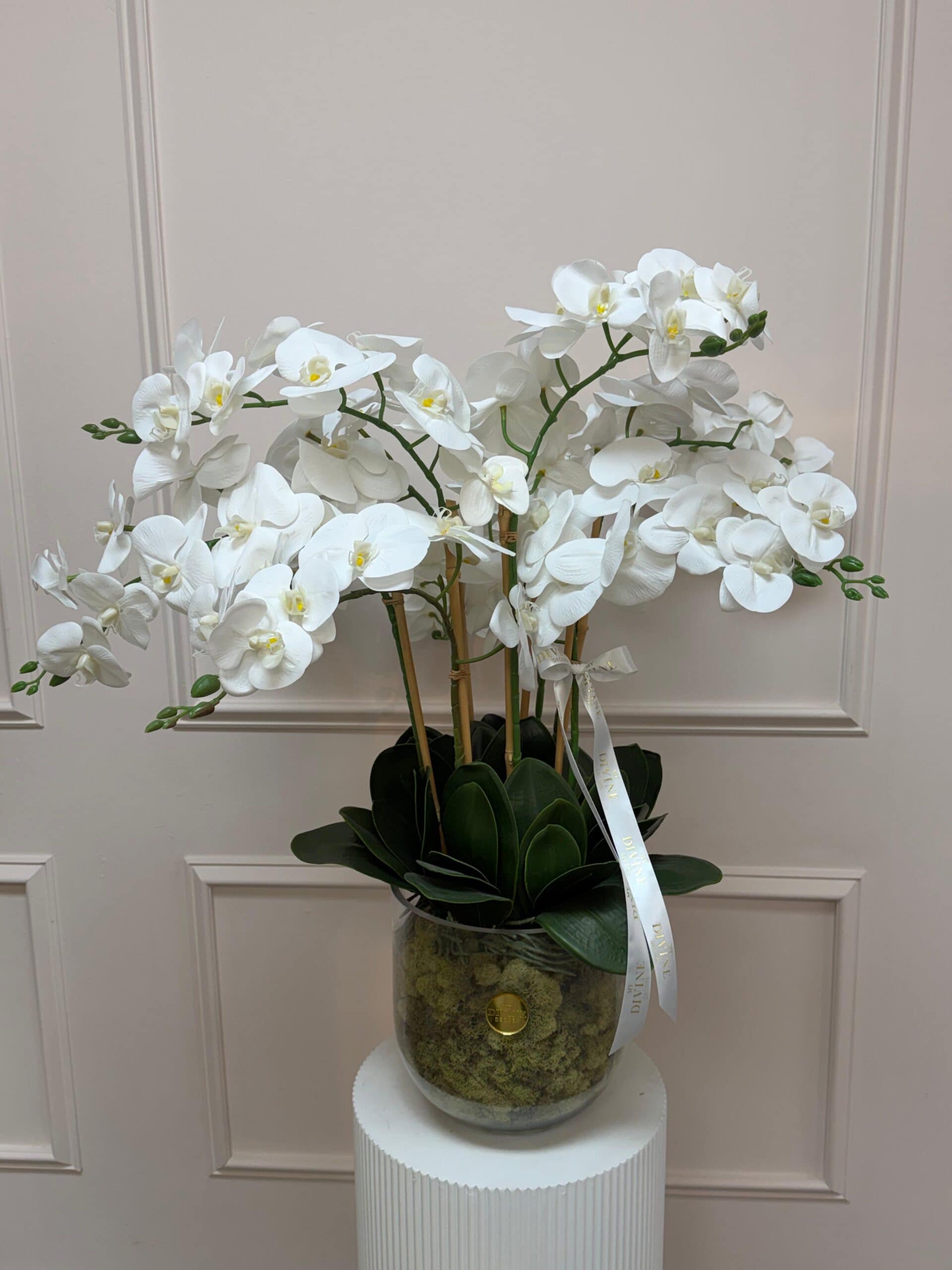 pure-elegance-silk-orchid-garden-1 Pure Elegance Silk Orchid Garden - Image 1